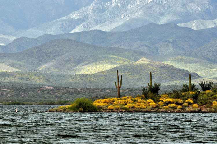 peninsula with saguaros